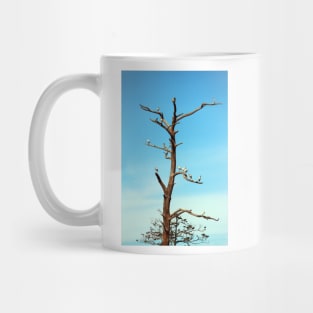 Ibises On Bare Tree Mug